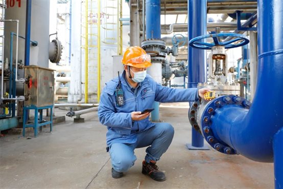 PlayAceֱӪ��һƷ������Ӯ��һ������