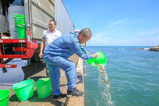 PlayAceֱӪ��һƷ������Ӯ��һ������