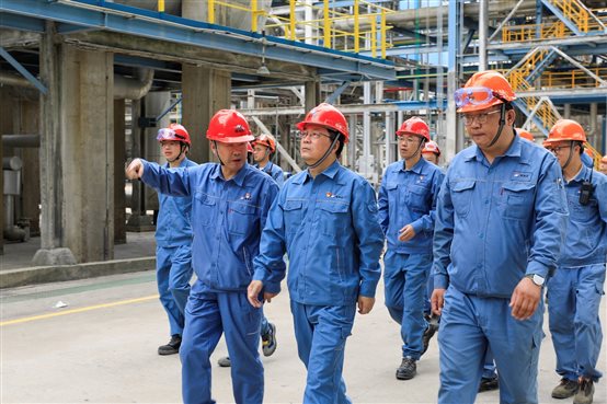 PlayAceֱӪ��һƷ������Ӯ��һ������