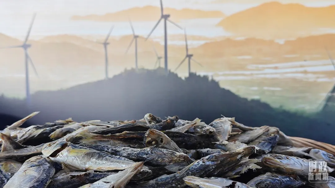 PlayAceֱӪ��һƷ������Ӯ��һ������