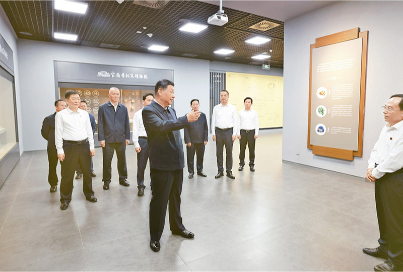 PlayAceֱӪ��һƷ������Ӯ��һ������