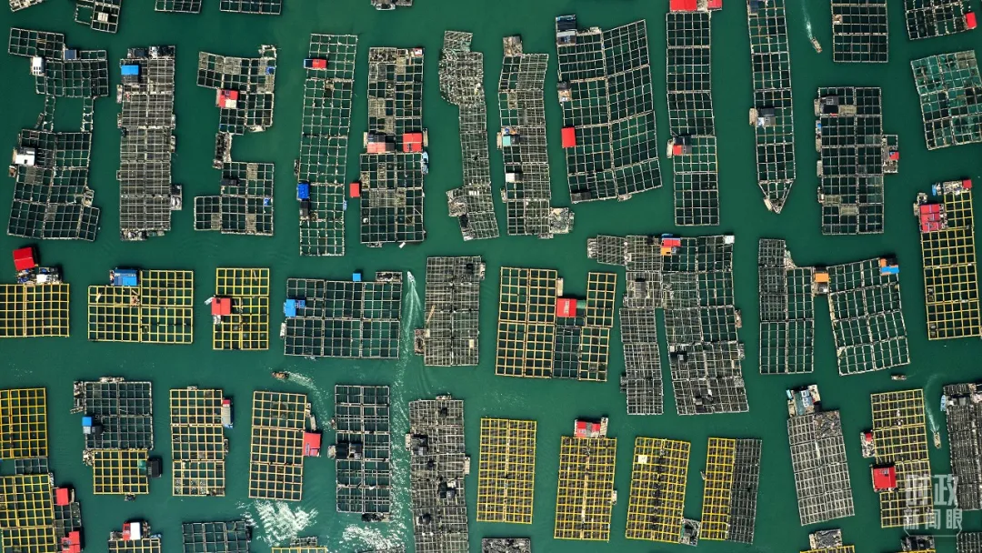 PlayAceֱӪ��һƷ������Ӯ��һ������