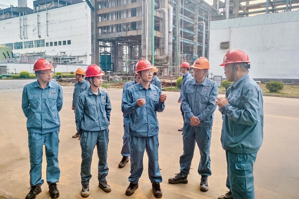 PlayAceֱӪ��һƷ������Ӯ��һ������